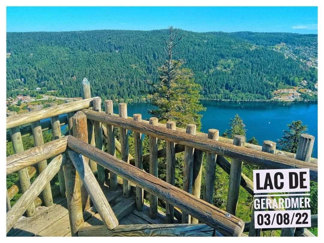 Nouveau Chalet M.Meta 12 Pers Sauna,Jacuzzi,Billard Xonrupt-Longemer Exterior foto